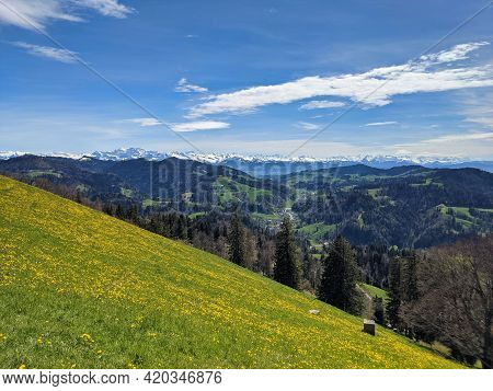 Excursion Hike On The Small Mountain Hoernli In The Toesstal. Very Nice All-round View Of The Other 