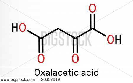 Oxaloacetic Acid, Oxalacetic Acid, Oaa, Oxaloacetate Molecule. It Is Oxodicarboxylic Acid,  Metaboli