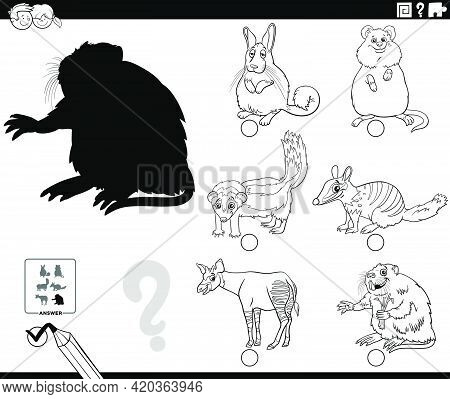 Black And White Cartoon Illustration Of Finding The Right Picture To The Shadow Educational Task For