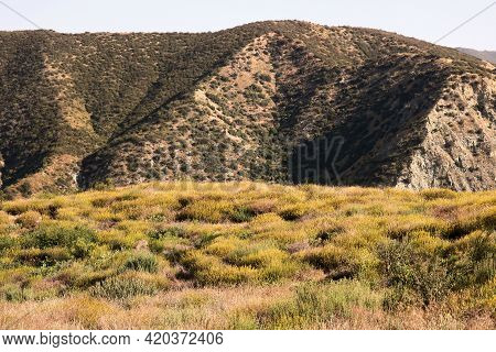 Chaparral Plants On An Arid Plateau With Barren Hills Beyond Taken At A Chaparral Woodland In The Ca