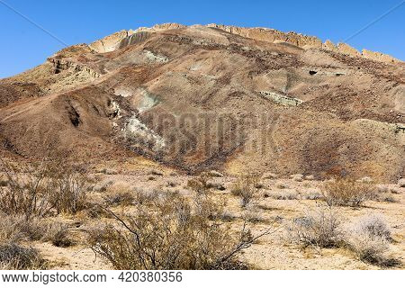 Creosote Bush On A Sandy Plateau With Barren Hills Beyond Covered With Colorful Rock Minerals Taken 