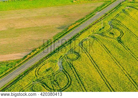 Spring In Arable Fields. Yellow-blooming Rapeseed.\na Vast Plain Covered With Arable Fields, In Plac
