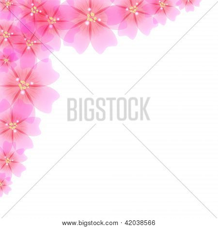 Patrón floral de rosa