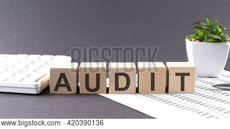 Concept Word Audit On The Wooden Blocks On Gray Background From Green Flower And Chart.