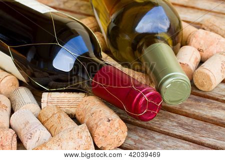 bottiglie di vino bianche e rosse