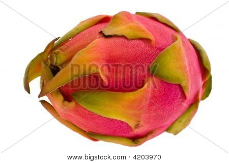 Pitahaya
