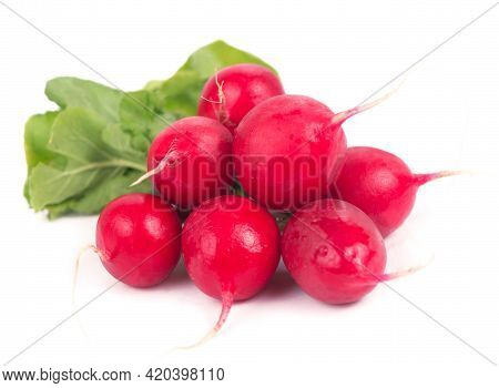 Radis Bunch Isolated On White Background. Fresh Radish Root Bundle, Pile Of Red Radishes With Green 