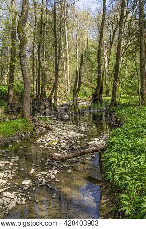 Idyllic Scenery At River Kupfer In Hohenlohe, An Area In Southern Germany At Early Spring Time