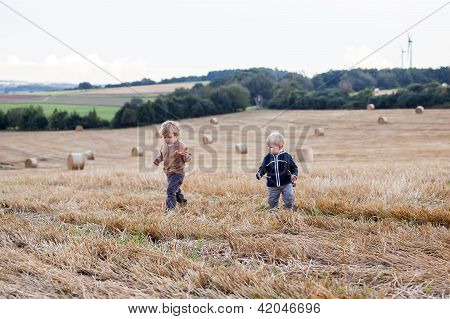 Zwei kleine Kleinkind Jungs spielen auf Stroh-Feld