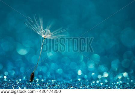 Macro Nature. Beautiful Dew Drops On Dandelion Seed Macro. Beautiful Soft Background. Water Drops On