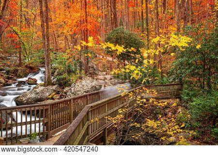 Bridge to Anna Ruby Falls, Georgia, USA in autumn. 