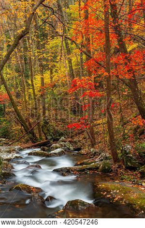 Smith Creek flowing from Anna Ruby Falls, Georgia, USA in autumn. 