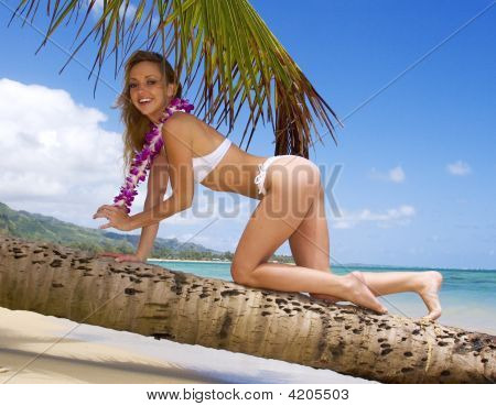 สวยงามสีบลอนด์สาวในชุดบิกินี่ที่ชายหาดในฮาวาย
