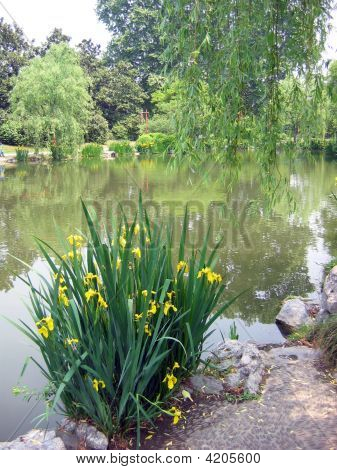 Natura Park pejzaż, Hangzhou