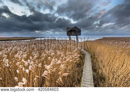 Wooden Walkway Through Salt Tidal Marsh Leading To Observatory Hide In Natura 2000 Area Dollard, Gro