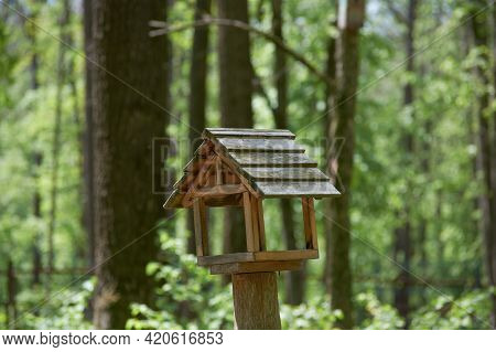 Wooden Bird Feeder In Forest - Stock Photography