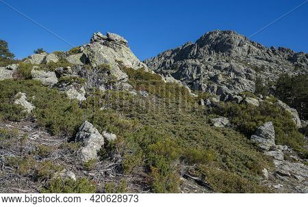 High-mountain Scrublands In Guadarrama Mountains National Park, Province Of Madrid, Spain