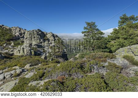 High-mountain Scrublands In Guadarrama Mountains National Park, Province Of Madrid, Spain