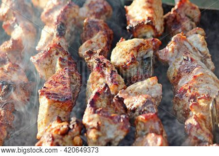 Meat On The Fire, Barbecue, Shish Kebab