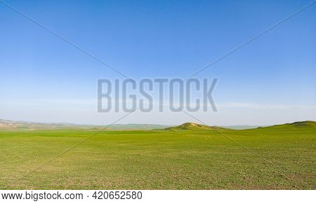 Pastoral Landscape In Green Kahetia Fields