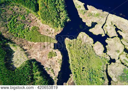 Aerial View Of River Floodplan And Green Forest In Summer Day. Bird Eye View Of Beautiful Nature Lan