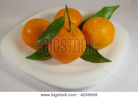 Oranges