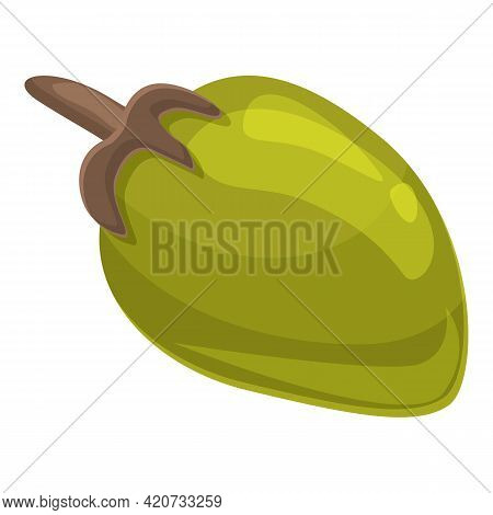 Baobab Fruit Icon. Cartoon Of Baobab Fruit Vector Icon For Web Design Isolated On White Background