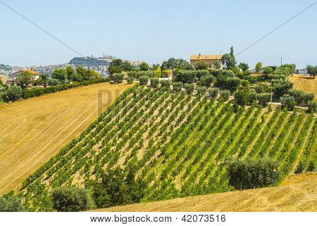 Marcher (Italien), landskab