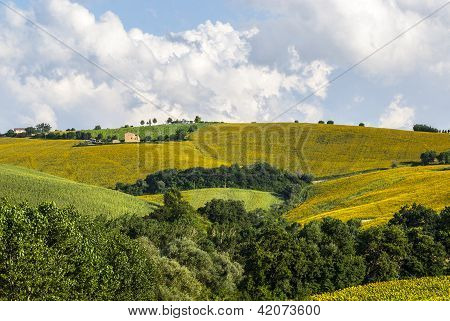Marcher (Italien), landskab