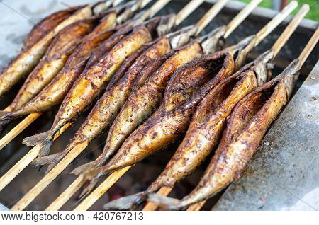 Close Up Of Delicious, Marinated Grilled Mackrele On The Bbq Grill, Seafood Concept