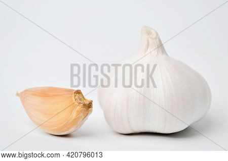 Fresh Garlic Isolated On A White Background. Garlic Is A Species In The Onion Genus, Allium.