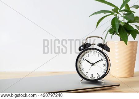 Classic Black Alarm Clock, Laptop And Potted Plant On Wooden Table With White Background And Copy Sp
