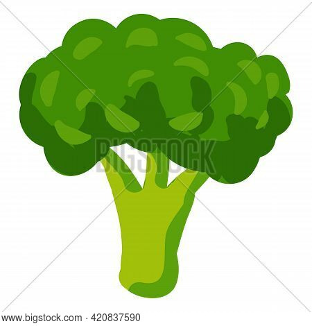 Broccoli Healthy Nutrition Product Green Vegetable. Vector Hand Draw Cartoon Flat Trendy Style White