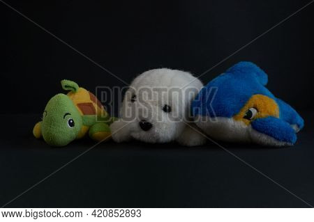 Soft Childrens Toys: Turtle, Seal, Dolphin Isolated On Black Background