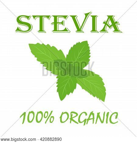 Natural Organic Stevia Banner. Vector Illustration In Flat Style.