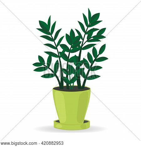 Indoor Plant For The House Zamioculkas. Isolated On White Background. Colored Flat Vector.