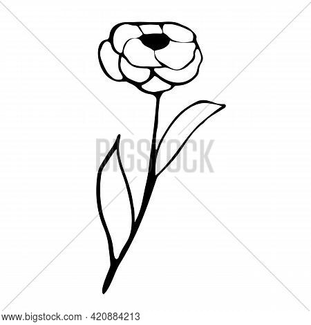 Handmade Stylized Rose Flower Silhouette. Vector Illustration In Doodle.