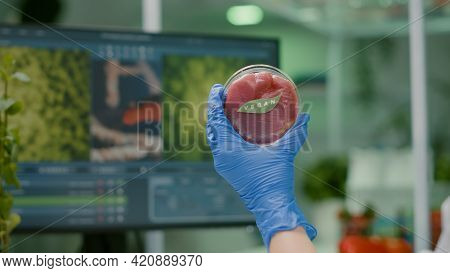 Closeup Of Chemist Holding In Hands Vegan Beef Meat Sample Researching Genetically Modified Vegetari