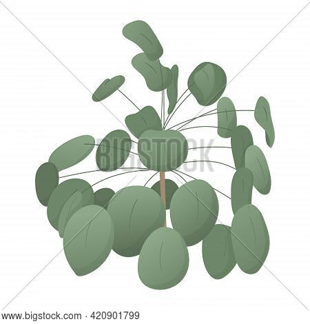 Vector Isolated Image On White Background. A Realistic Depiction Of A Home Plant In A Pot. Pilea Pep