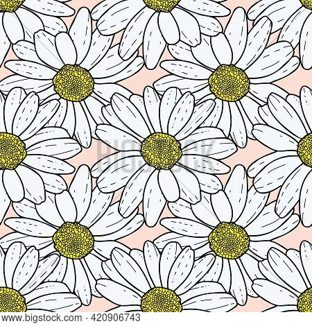 Vector Pastel Pink Beige Background Pink Daisy Flowers And Wild Flowers. Seamless Pattern Background