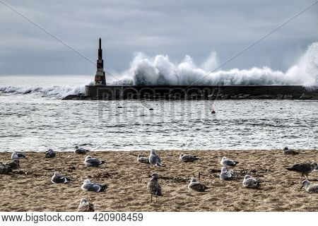 Giant Waves Breaking On The Breakwater And The Lighthouse On Aguda Beach, Miramar, Arcozelos Town