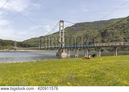 Lisitsite Bridge Over Studen Kladenets Reservoir, Bulgaria