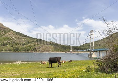 Lisitsite Bridge Over Studen Kladenets Reservoir, Bulgaria