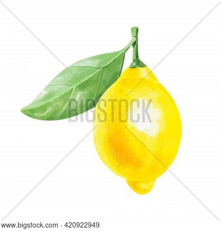 Hand Drawn Watercolor Painting On White Background. Illustration Of Fruit Lemon With Green Leaf