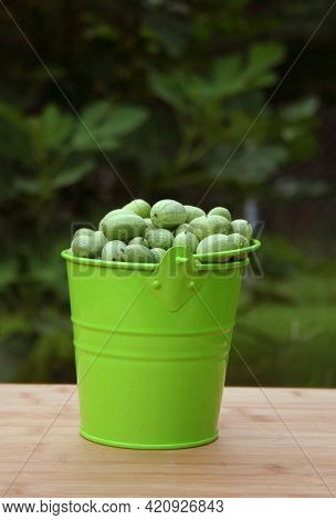 Summer Harvest Miniature Mexican Watermelons - Melothria Scabra
