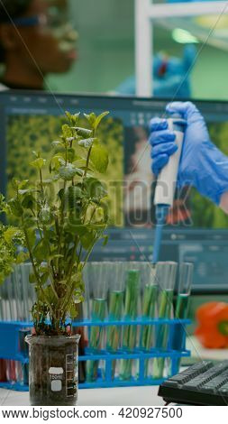 Biologist Researcher Using Micropipette Putting Genetic Solution In Test Tube Developing Gmo Medical