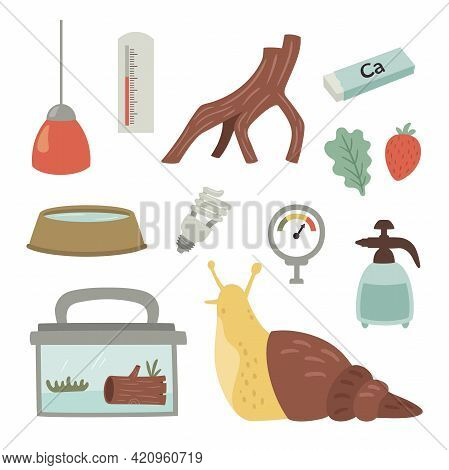 Vector Set Of An Achatina Snail Care