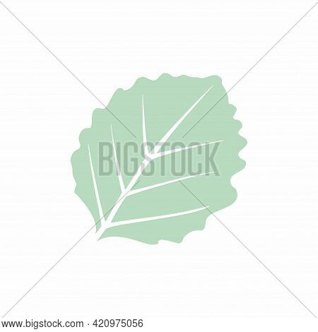 Graceful Green Leaves. Flat Twig. Vector Isolated Element. Garden Plant. Icon