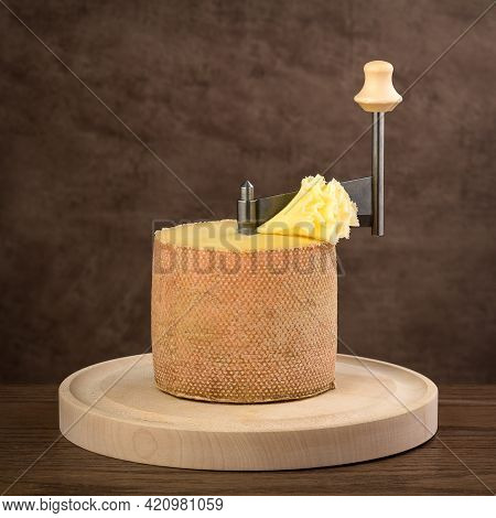 Monk's Head Chees In A Giroll On Brown Background
