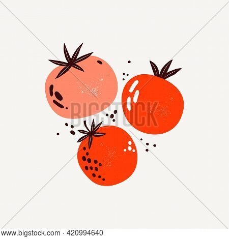 Red And Pink Tomatoes. Vegetables In Flat Trendy Style. Art Composition Of A Ripe Tomato. Healthy Fo